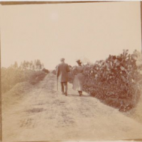 NC499