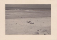 ND244
