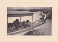 ND254