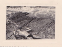 ND274