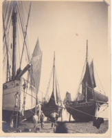 ND356