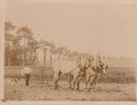 ND512