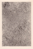 ND956