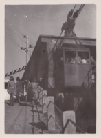 NE033