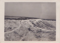 NE416