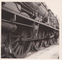 NE516