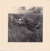 NE908