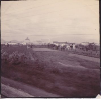NF005