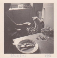 NF383