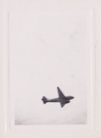 NF479