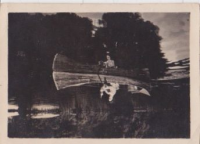 NG161