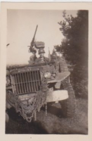 NG313