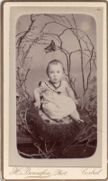 cdv9004