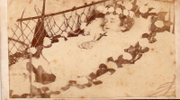 cdv9346