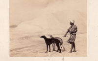 cdv9351