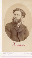 cdv9553